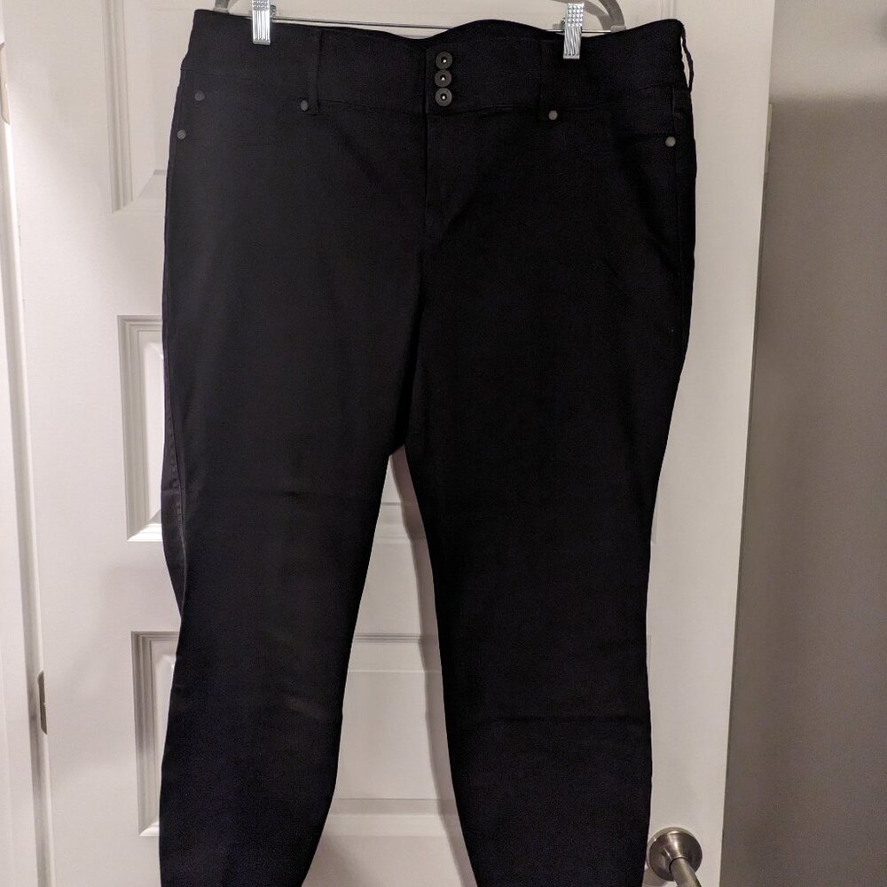 Torrid Denim Jeans 3-Button size 22S